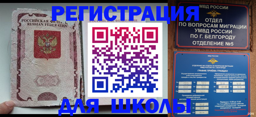 прописка гарантия в Кингисеппе